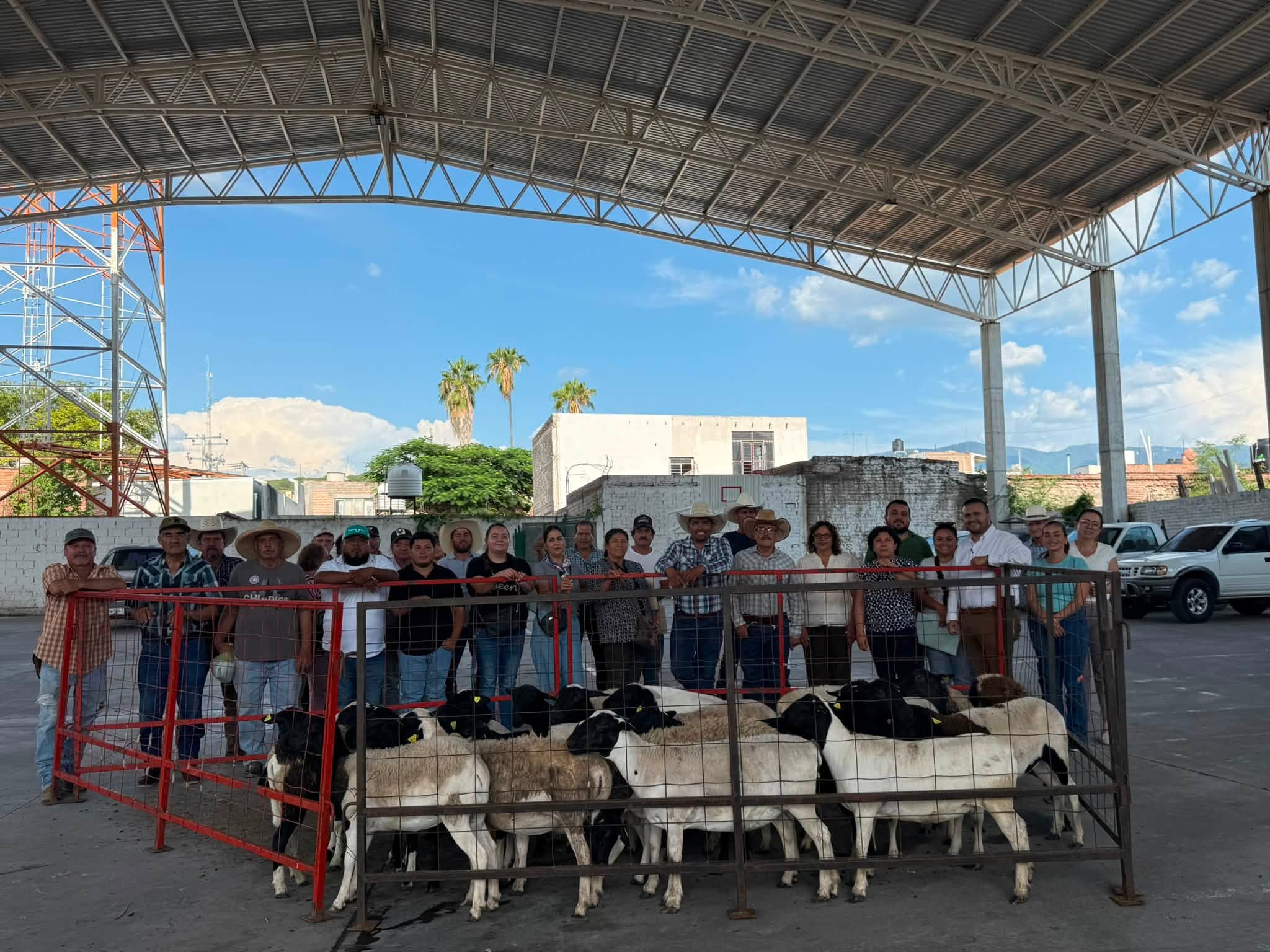 Entrega de Ganado